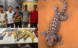 The endangered lizards seized in Assam had to be sold in 1 lakh each