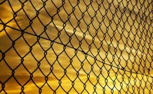 Pak National allowed no-facilitation visa to cross in India