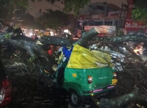 45 -year -old auto driver dies after falling on a tree on a vehicle amid rain in Bengaluru.
