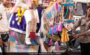 Up man shot dead during marriage procession on alleged relationship