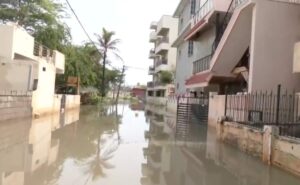 Waterlogging after heavy rains in Bengaluru, trees uprooted
