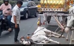 The case filed after the vehicle collapse on Kolkata Street goes viral