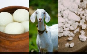 Rasgulus, salt sack, and goats